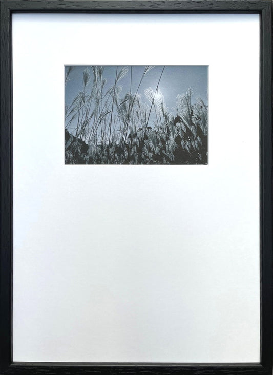 フォトグラフィ アート ススキ Photography art ススキ 275x382x20 snw-ipg-53253の画像