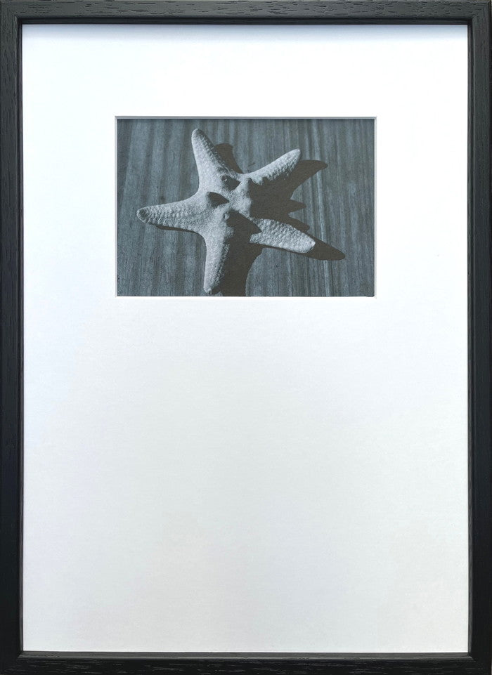 フォトグラフィ アート ヒトデ Photography art ヒトデ 275x382x20 snw-ipg-53256の画像