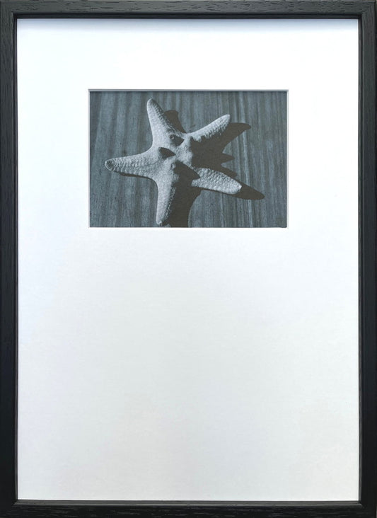 フォトグラフィ アート ヒトデ Photography art ヒトデ 275x382x20 snw-ipg-53256の画像