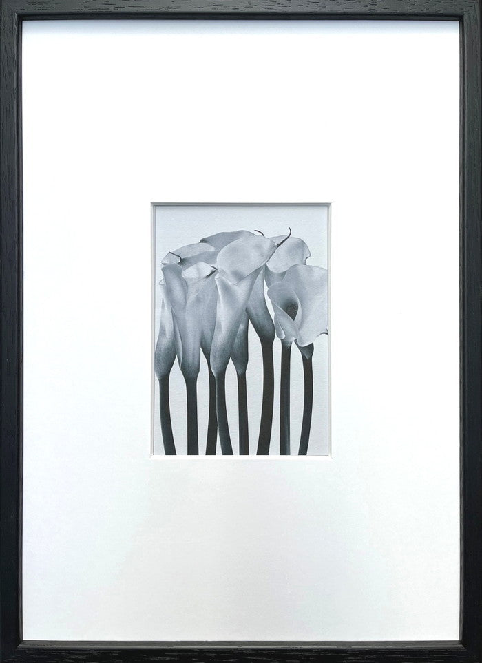 フォトグラフィ アート カラー Photography art カラー 275x382x20 snw-ipg-53259の画像