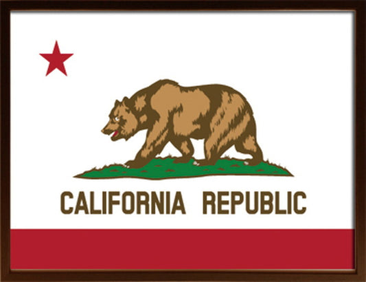 アートフレーム カリフォルニアフラッグ Art Frame California Flag 725x525x30 snw-isf-52295の画像