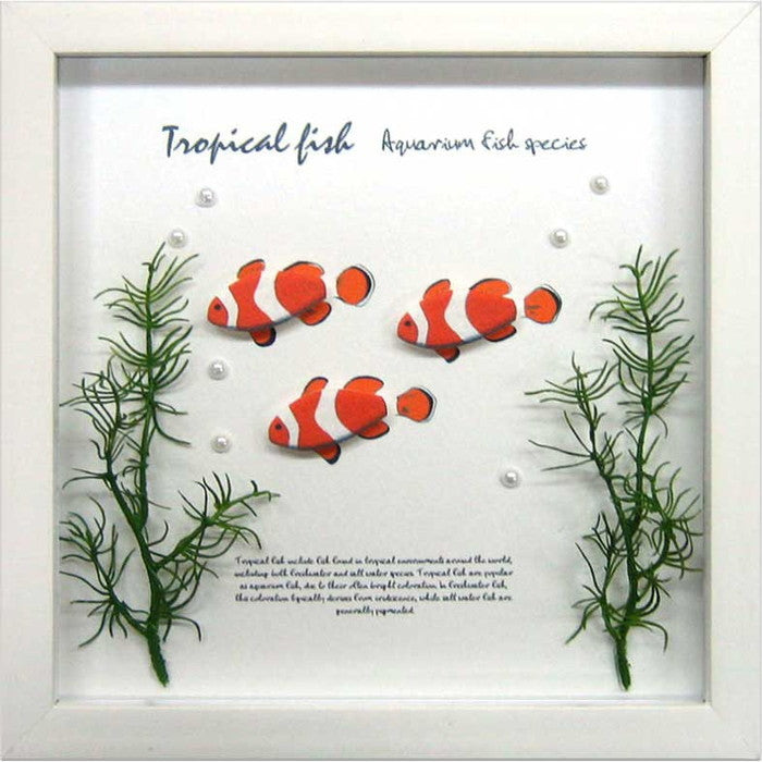 アクアフレーム クラウンフィッシュ Aqua Frame Crown Fish 220x220x20 snw-zaf-50791の画像