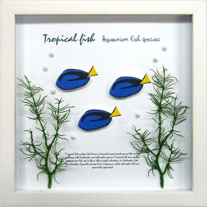 アクアフレーム ブルータング Aqua Frame Blue Tang 220x220x20 snw-zaf-50792の画像