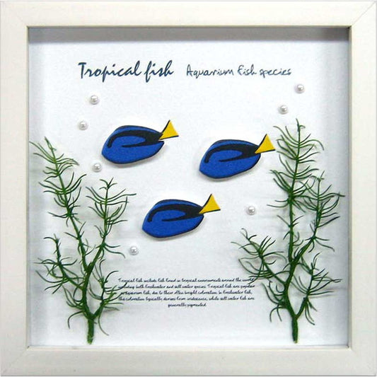 アクアフレーム ブルータング Aqua Frame Blue Tang 220x220x20 snw-zaf-50792の画像