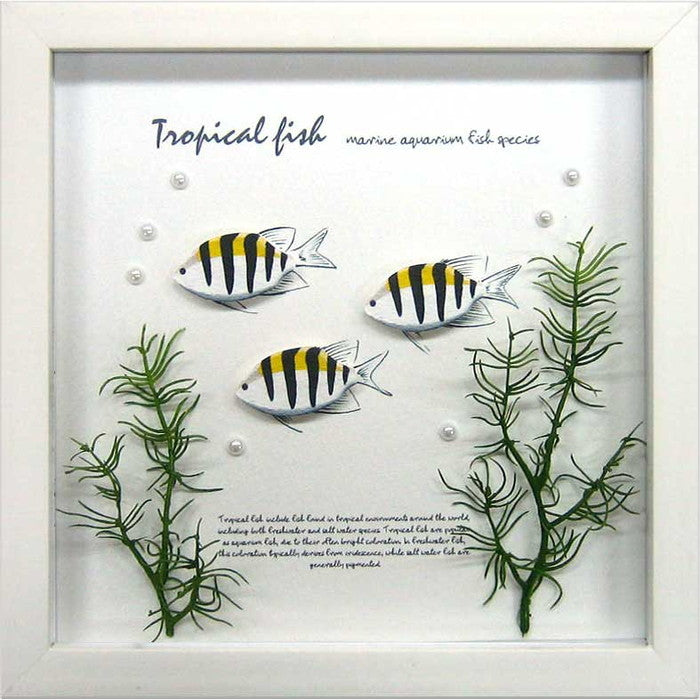 アクアフレーム サー ジェント メジャー Aqua Frame Sergeant Major 220x220x20 snw-zaf-50793の画像