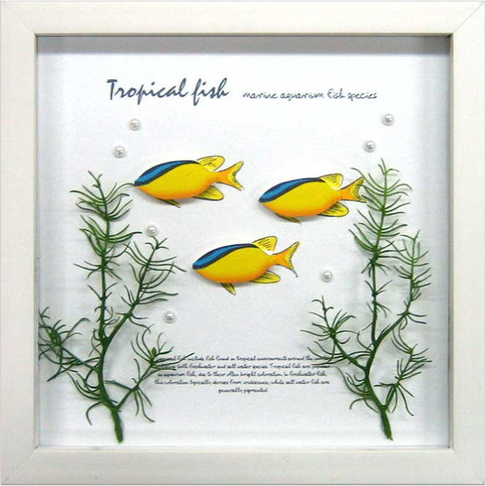 アクアフレーム ブルーライン デモイセル Aqua Frame Blueline demoiselle 220x220x20 snw-zaf-50794の画像