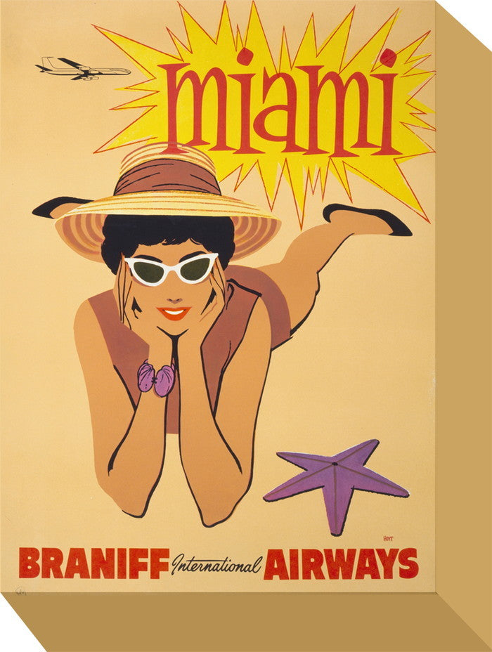 ミニ パネル ブランニフ MINI Panel Braniff 205x280x45 snw-zap-53670の画像