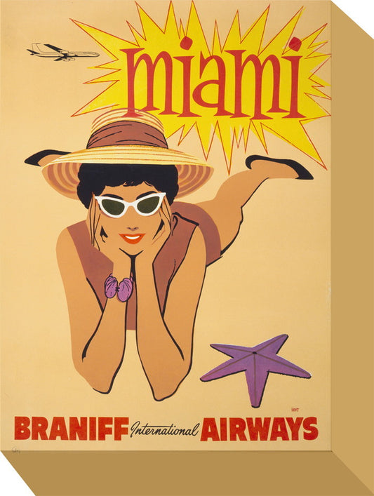 ミニ パネル ブランニフ MINI Panel Braniff 205x280x45 snw-zap-53670の画像