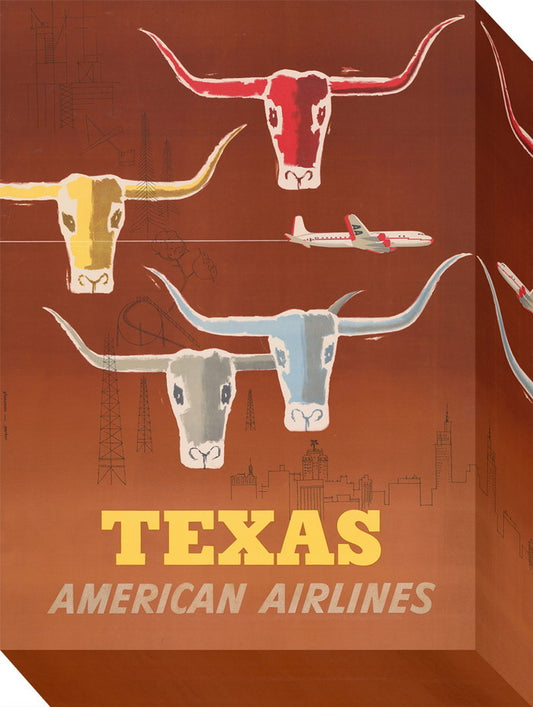 ミニ パネル アメリカンエアライン MINI Panel American Airline 205x280x45 snw-zap-53671の画像