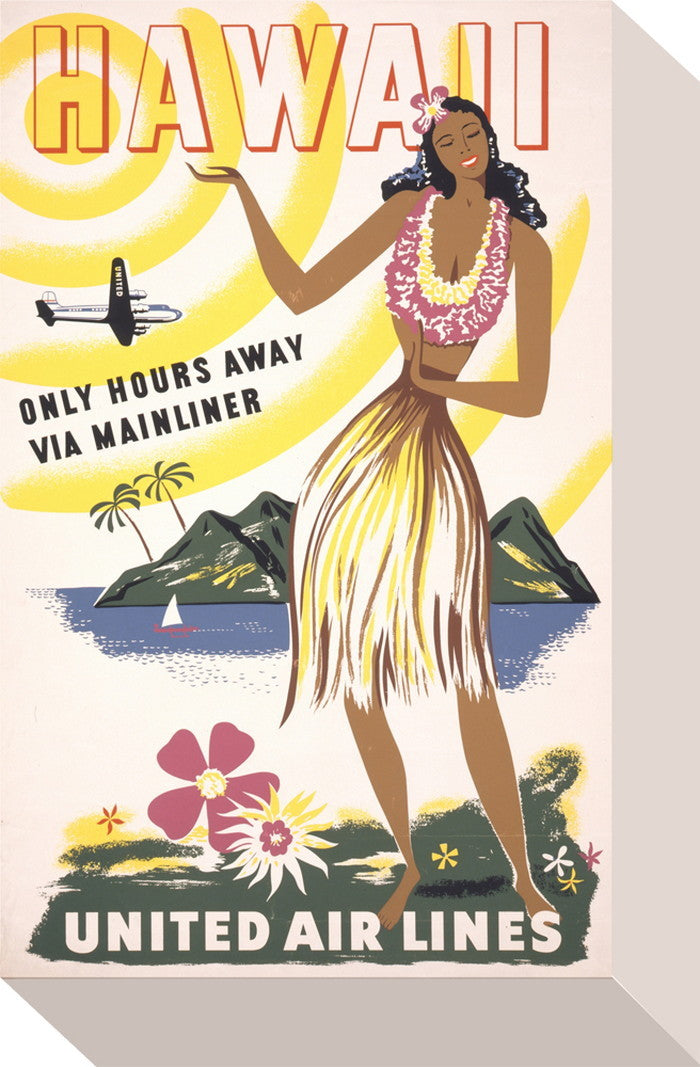 ミニ パネル ユナイテッドエアライン MINI Panel United air line 175x280x40 snw-zap-53677の画像