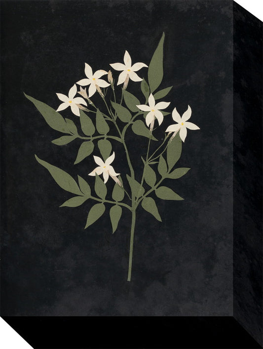 ミニ パネル ボタニカルシリーズ MINI Panel 205x280x45 snw-zap-53695の画像