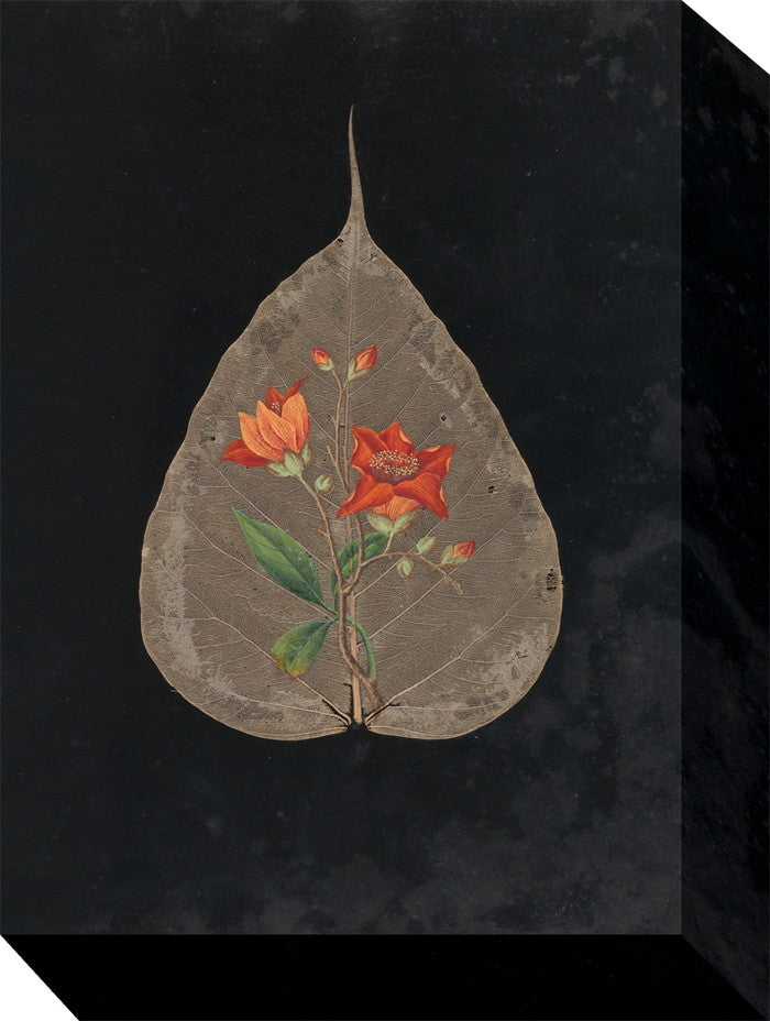 ミニ パネル ボタニカルシリーズ MINI Panel 205x280x45 snw-zap-53696の画像