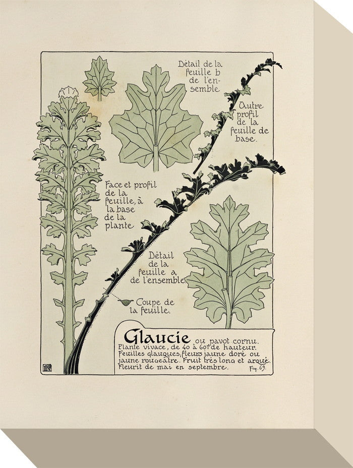 ミニ パネル グラウシー MINI Panel Glaucie 205x280x45 snw-zap-53698の画像