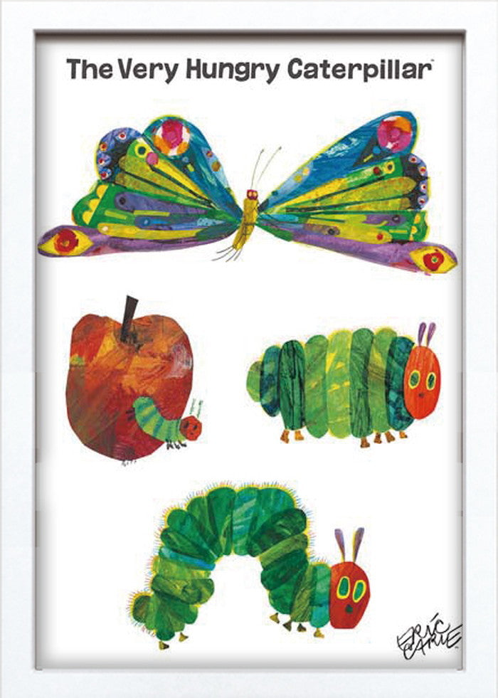 エリック・カール バタフライ 蝶 Eric Carle Butterfly 280x385x20 snw-zec-53010の画像
