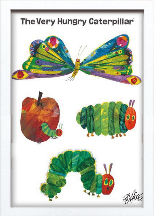 エリック・カール バタフライ 蝶 Eric Carle Butterfly 280x385x20 snw-zec-53010の画像