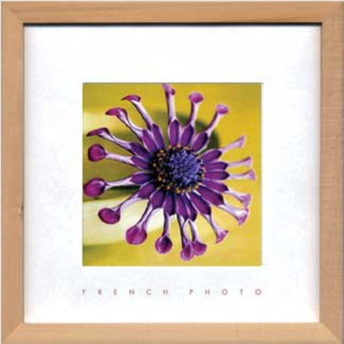 フレンチフォトグラフィ バイオレットグリーン French Photography Violet,Green 220x220x20 snw-zfp-51885の画像