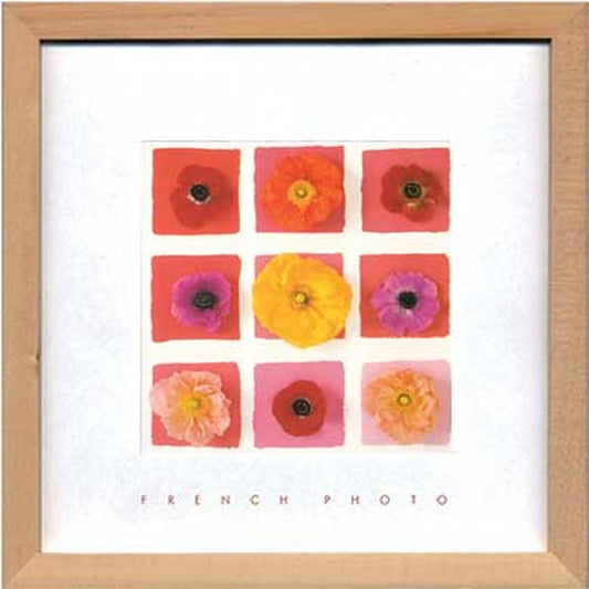 フレンチフォトグラフィ ナインフラワー オン スクエア French Photography Nine Flower on nine squares 220x220x20 snw-zfp-51915の画像
