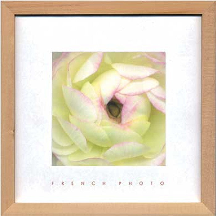 フレンチフォトグラフィ ラナンキュラス French Photography Ranunculus 220x220x20 snw-zfp-51917の画像