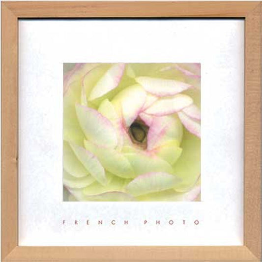 フレンチフォトグラフィ ラナンキュラス French Photography Ranunculus 220x220x20 snw-zfp-51917の画像