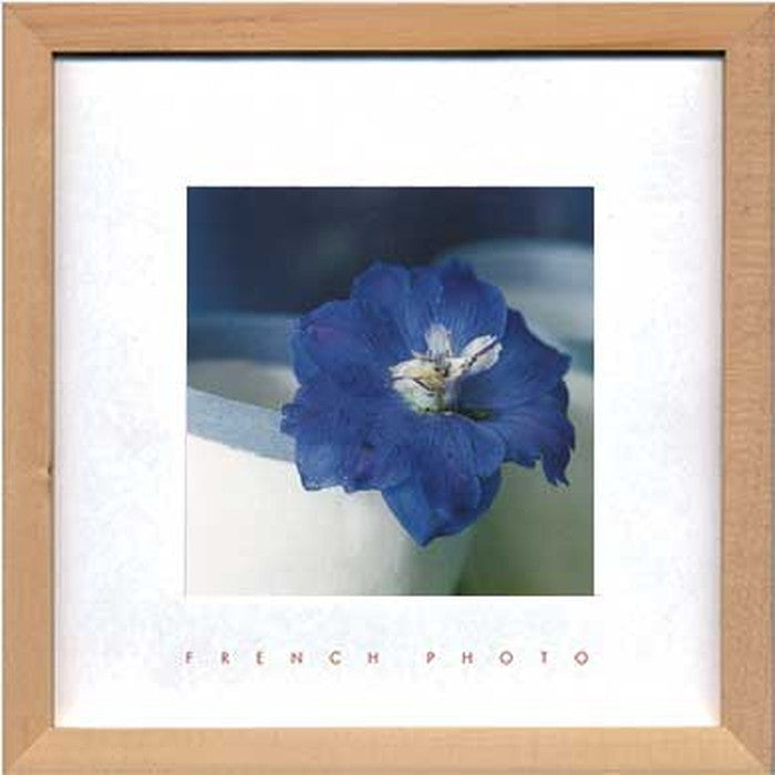 フレンチフォトグラフィ デルフィニウム・エラツム French Photography Delphinium elatum 220x220x20 snw-zfp-51918の画像