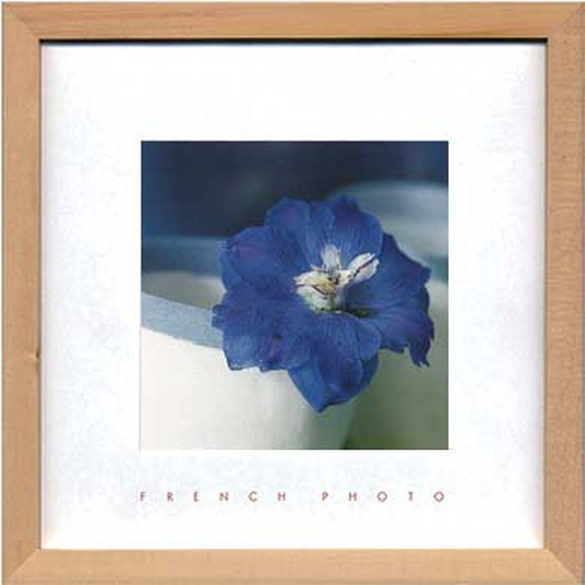 フレンチフォトグラフィ デルフィニウム・エラツム French Photography Delphinium elatum 220x220x20 snw-zfp-51918の画像