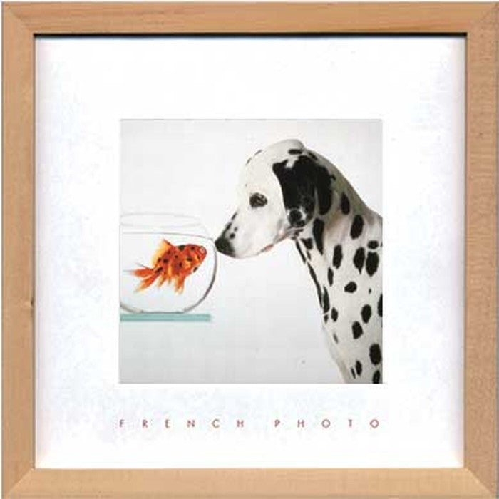 フレンチフォトグラフィ ダルメシアン アンド フィッシュ French Photography Dalmetian & Fish 220x220x20 snw-zfp-51919の画像