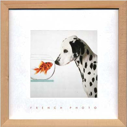 フレンチフォトグラフィ ダルメシアン アンド フィッシュ French Photography Dalmetian & Fish 220x220x20 snw-zfp-51919の画像
