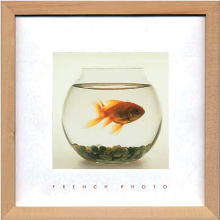 フレンチフォトグラフィ フィッシュ イン ヒズ ボウル French Photography Fish in his Bowl 220x220x20 snw-zfp-51921の画像