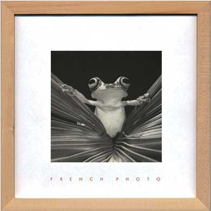 フレンチフォトグラフィ ツリーフロッグクイーン French Photography Tree Frog Queen 220x220x20 snw-zfp-51922の画像