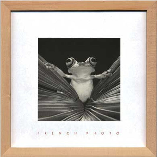 フレンチフォトグラフィ ツリーフロッグクイーン French Photography Tree Frog Queen 220x220x20 snw-zfp-51922の画像