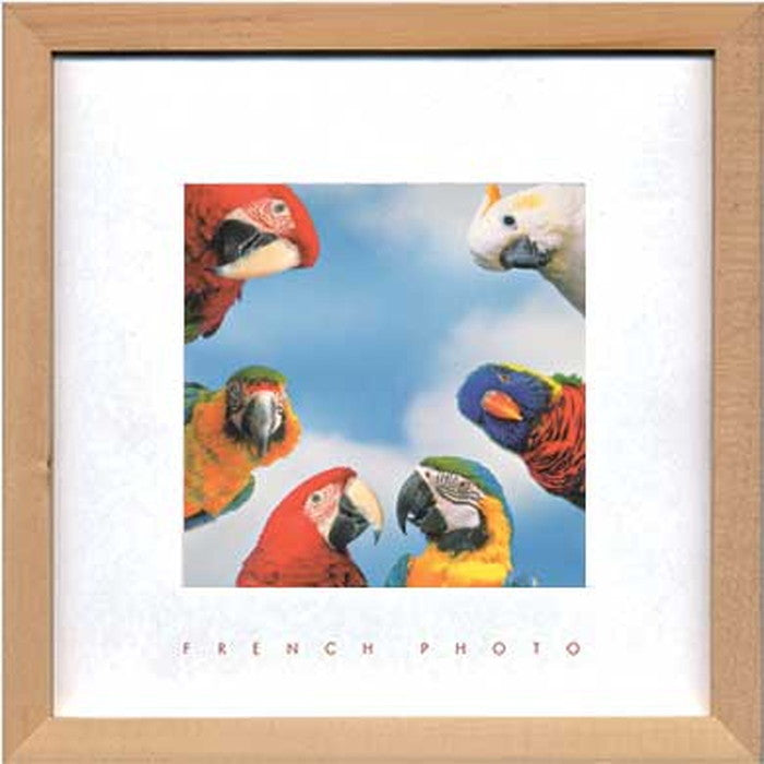 フレンチフォトグラフィ ミーティングカラー French Photography Meeting in color 220x220x20 snw-zfp-51926の画像
