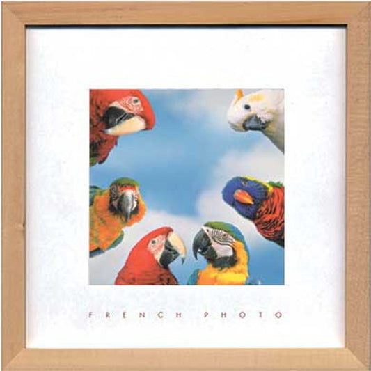 フレンチフォトグラフィ ミーティングカラー French Photography Meeting in color 220x220x20 snw-zfp-51926の画像
