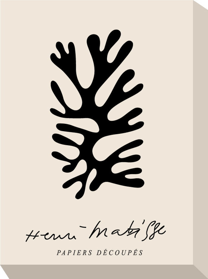 ミニ パネル アンリ・マティス Mini Panel Matisse 205x280x45 snw-zhm-53316の画像