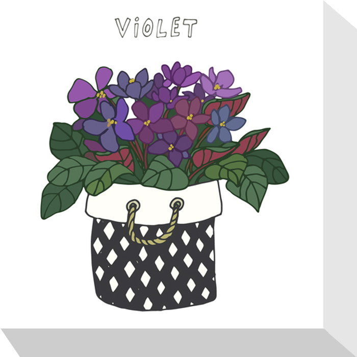 ホームプランツ ヴァイオレット Home Plants VIOLET 175x175x40 snw-zpa-53532の画像