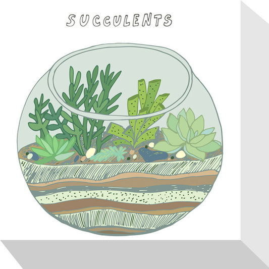 ホームプランツ サキュレント Home Plants SACCULENTS 175x175x40 snw-zpa-53535の画像