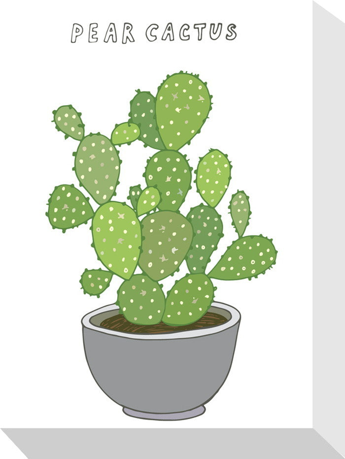 ホームプランツ ピーアール・カクタス Home Plants PEAR CACTUS 155x205x40 snw-zpa-53545の画像