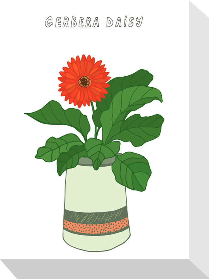 ホームプランツ ガーベラ・デイジー Home Plants GERBERA DAISY 155x205x40 snw-zpa-53552の画像