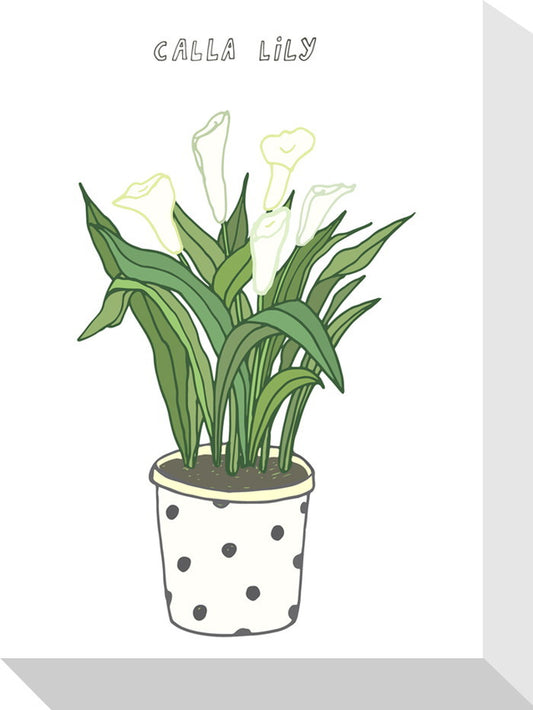 ホームプランツ カッラ・リリー Home Plants CALLA LILY 155x205x40 snw-zpa-53553の画像