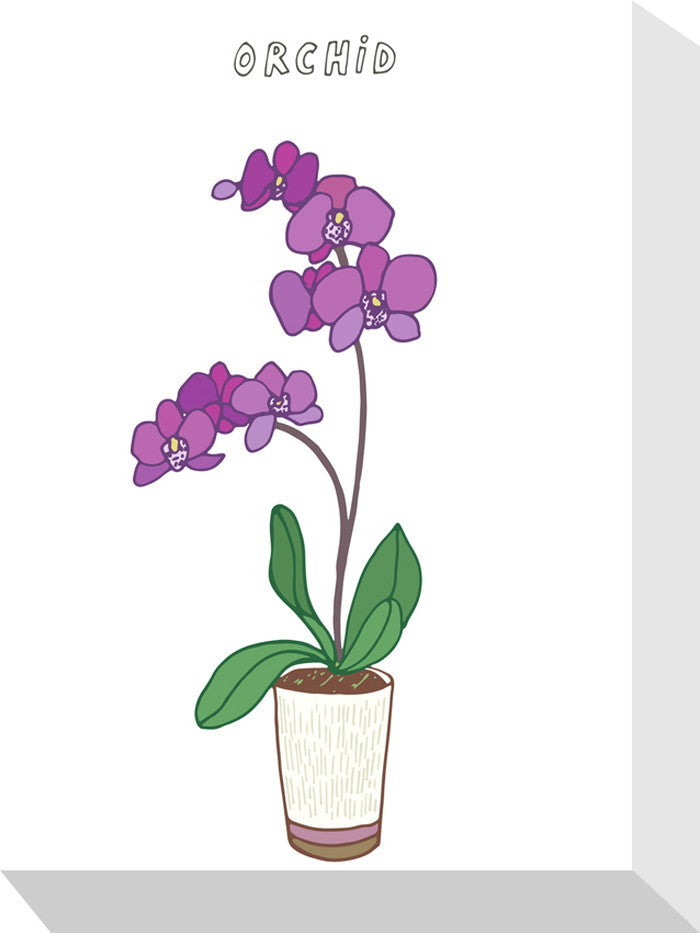 ホームプランツ オーキッド Home Plants ORCHID 155x205x40 snw-zpa-53557の画像