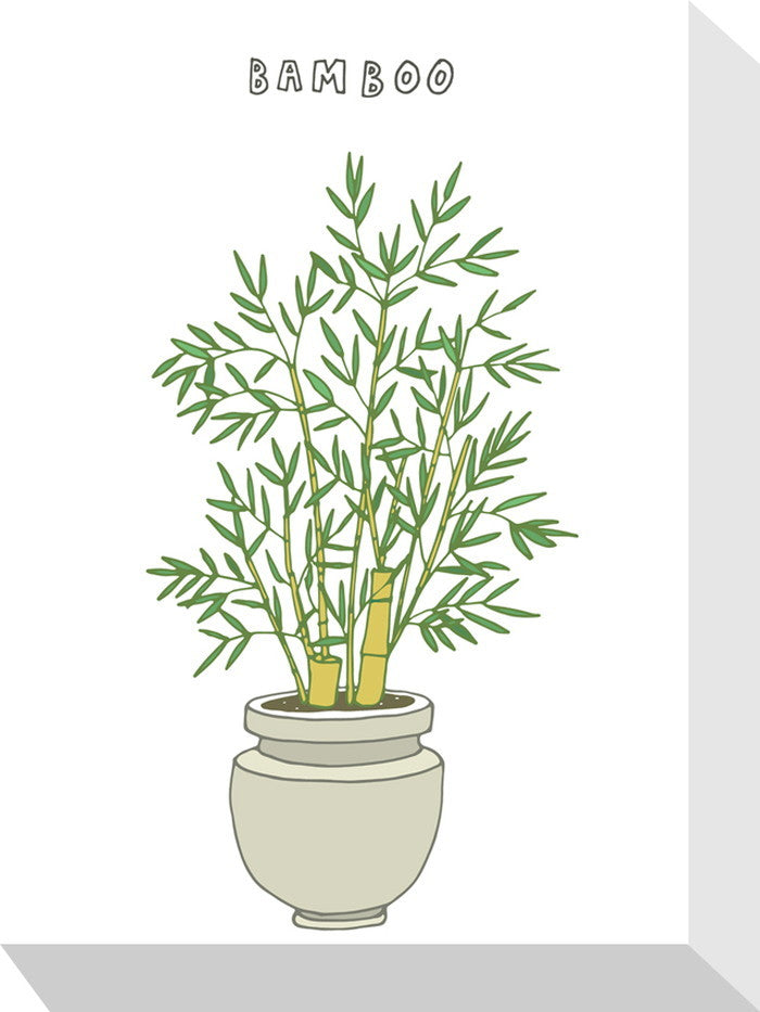 ホームプランツ バンブー Home Plants BAMBOO 155x205x40 snw-zpa-53559の画像