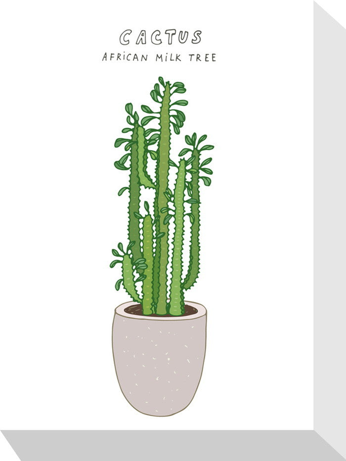 ホームプランツ サボテン Home Plants CACTUS 155x205x40 snw-zpa-53561の画像