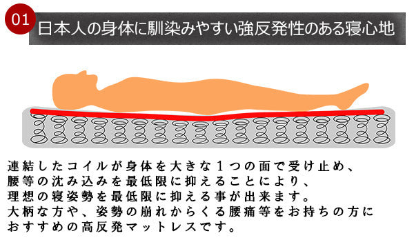 棚照明付フロアベッド ダブル SGマーク付国産ハードマットレス付 to-10-190-d-108378