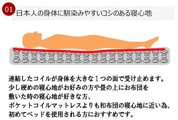 パネル型ラインデザインベッド ワイドキング190 SGマーク付国産ボンネルコイルスプリングマットレス付 to-10-284-wk190-10816b